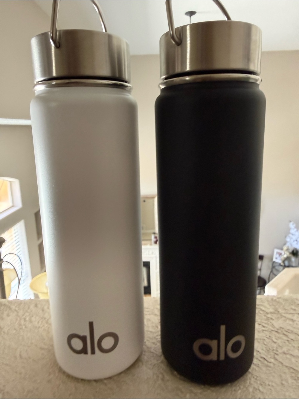 ALO Yoga Matte White and Black Stainless Water Bottles